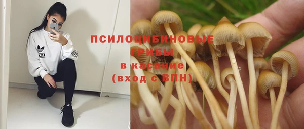 гидропоника Навашино