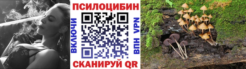 купить   Подпорожье  Псилоцибиновые грибы ЛСД 